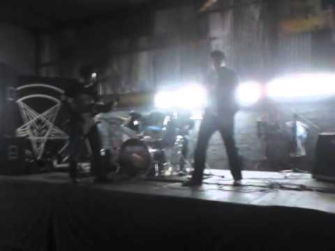 Nextgrafiti reckto de cerdo