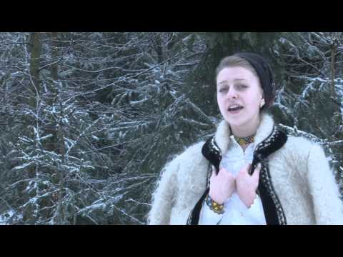 DALINA NEMES   MANDRU SI CANTA UN CERB IN CODRU