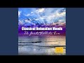 Bach: Minuet in G Major (The Lovers Concerto)