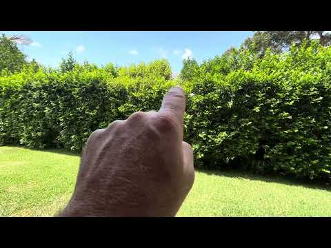 3 St Ives Terrace Buderim - Garden Makeover