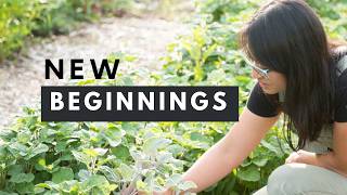 What's coming in 2025 for our little farm