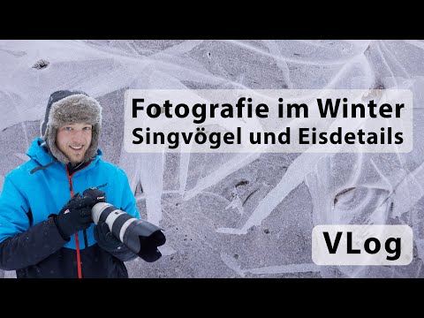 Fotografie im Park (VLog) - Singvögel und Eisstrukturen