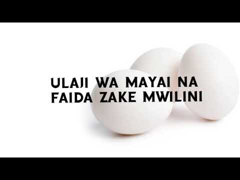 , title : 'Ulaji Wa Mayai Na Faida Zake Mwilini'
