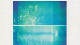 I Lift Up My Hands (Instrumental)