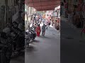 Rishikesh cow gives a leg massage to barefoot tourist on the phone to the bank.