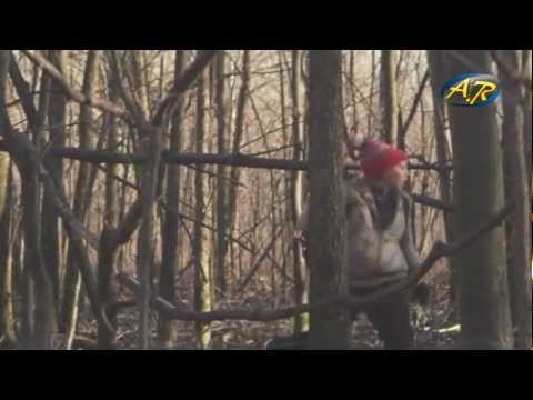 David Guetta feat Sia & Mary J. Blige - Titanium (Nylson Wash & Alex Ritton Radio Mix)