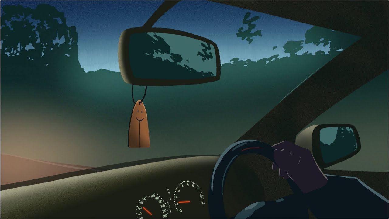 Snooch Dodd & The Pro-Teens - I Flip My Life Every Time I Fly (Official video clip)