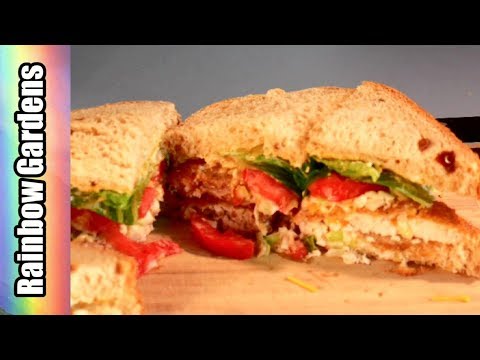 download lagu mp3 mp4 Bermuda Fish Sandwich Recipe, download lagu Bermuda Fish Sandwich Recipe gratis, unduh video klip Bermuda Fish Sandwich Recipe