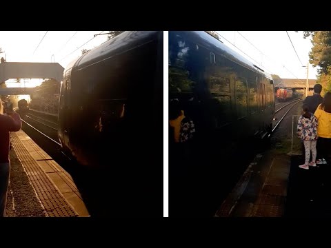 Watch Harry Potter Fans Die Inside When A Commuter Train Comes At The Worst Moment