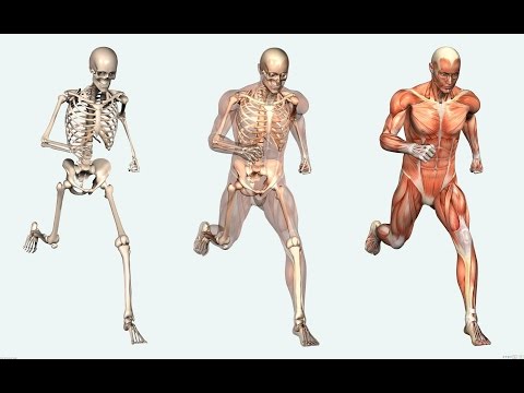 Parte del monastero di tè dalla Bielorussia da osteocondrosi Ricarica quando il dolore dellarticolazione dellanca