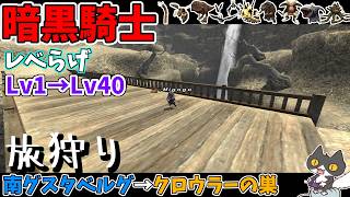 【⚔轟くFF11】暗黒レベらげLv1→Lv40 旅狩りクロウラーの巣まで【復帰プレイ#317】