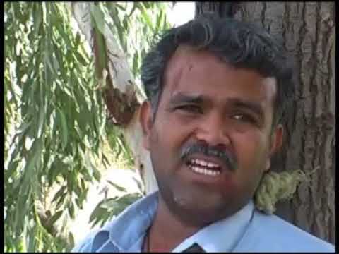 HEWAN,SINDHI FILM,02,MUJEEB LAGHARI,RAJA MUMTAZ,TARIQ KHAN KAZI K.N.SHAH