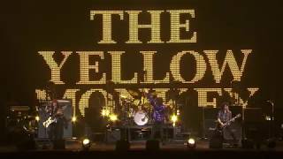日本が誇るロックバンド“THE YELLOW MONKEY”のドキュメンタリーフィルム「オトトキ」、アジア最大の映画祭、釜山国際映画祭にて上映決定！!