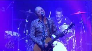 Hoodoo Gurus - In The Echo Chamber (Live at Dig It Up! Sydney) | Moshcam