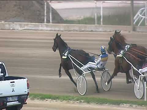 Trotto 16/04/2019 - 8ª corsa