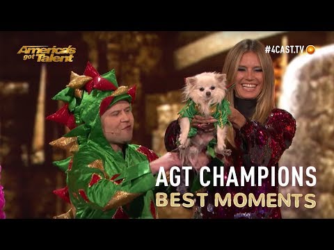 The dragon magician and Mr. Piffles prove that they're champions with this hilarious performance!