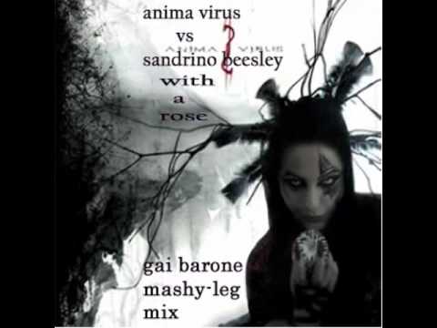Anima Virus vs Sandrino Beesley - With a Rose (Gai Barone Mashy-Leg off mix)