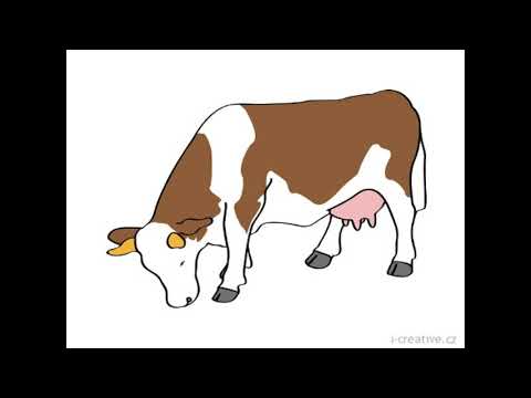Písnička Prdící kráva