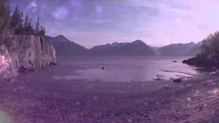 Olosericum - Sarah Fimm (From the album "Adaquarium")