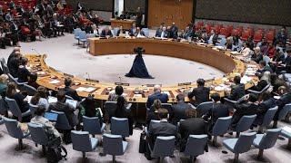 Pas de reconnaissance de la Palestine à l'ONU après le veto de Washington