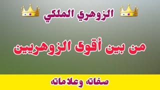 الزوهري الملكي من بين أقوى الزوهريين علاماته وصفاته الإنسان الزوهري