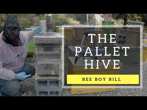 The Langstroth Pallet Hive