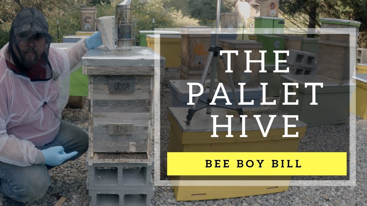 The Langstroth Pallet Hive
