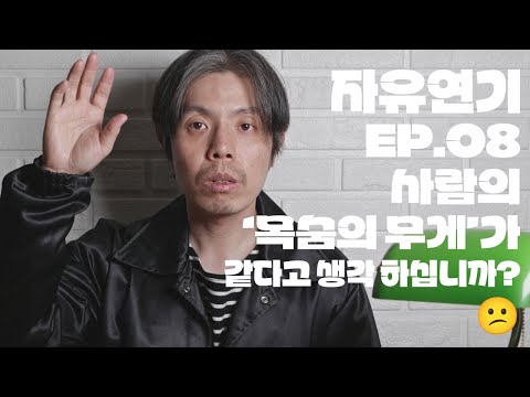 비디오 6