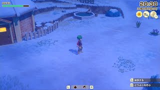 【LIVE】牧場物語 Let's！風のグランドバザール 雑談作業