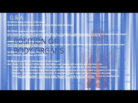 Cambridge Stage 6 Science Chapter 1 Humans and Animals Topic 1.1 Body Organs