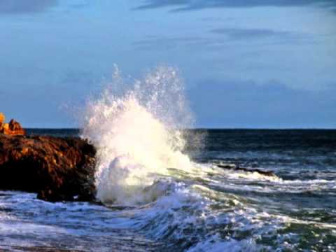 Oliver i klapa ošjak - A vitar puše - 1997