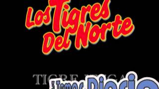 Arnulfo Gonzalez__Los Tigres del Norte Album Corridos Prohibidos (Año 1989)