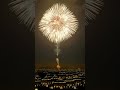 Like 10 million fireflies? #shorts ?: mandarinfireworks001
