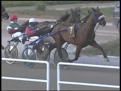 Trotto 14/12/2014 - 2° corsa