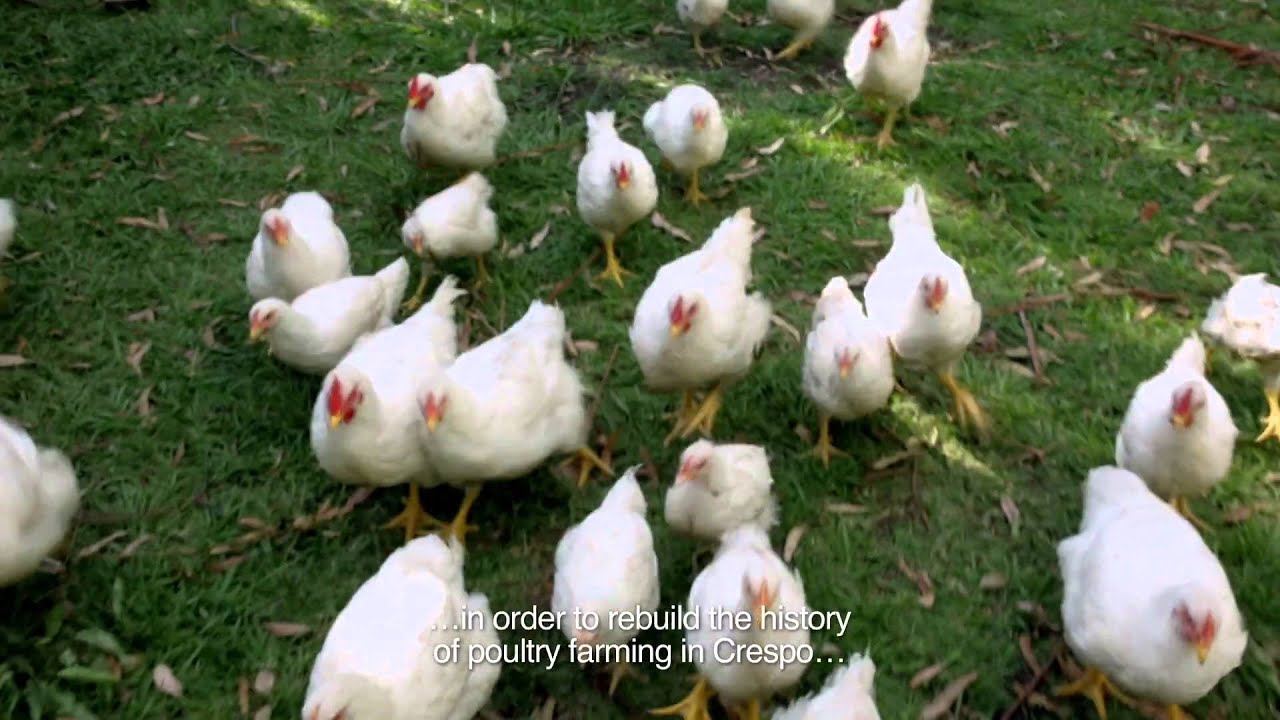 'Crespo (La continuidad de la memoria)', de Eduardo Crespo - Trailer