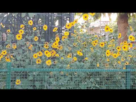 Karan Singh relationships my relationships