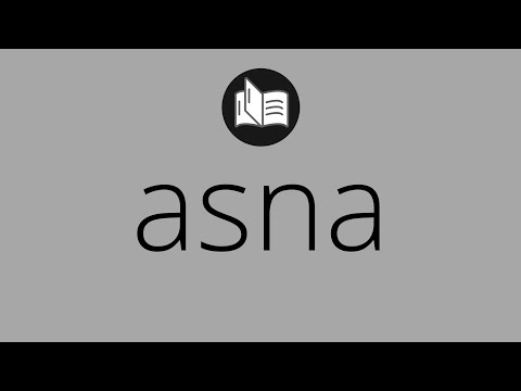 Que significa ASNA • asna SIGNIFICADO • asna DEFINICIÓN • Que es ASNA • Significado de ASNA