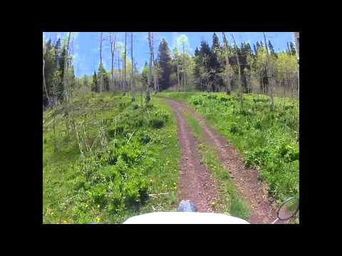 Stealey Mtn Doubletracks