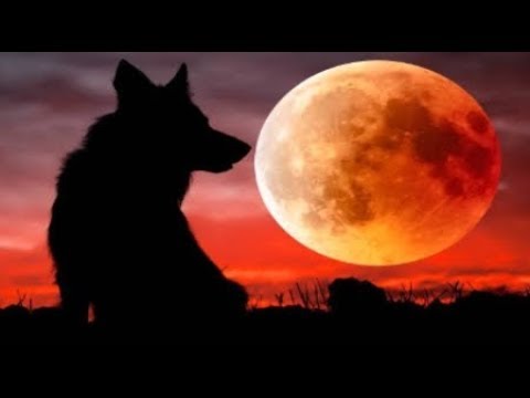 RAW Super Blood Wolf Moon Total Lunar Eclipse signs in the Heavens January 20 - 21 2019 Video