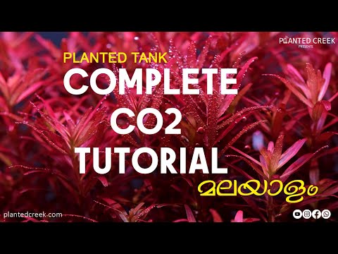 Complete CO2 Tutorial for Planted Tank #plantedcreek #malayalam #tutorial