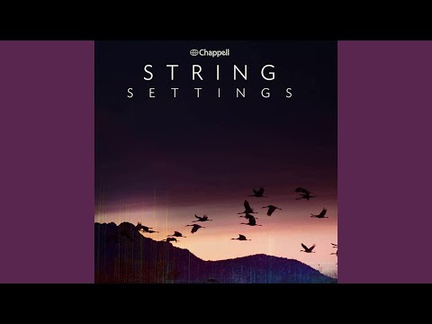 Breaking The Barrier