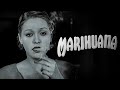Marihuana 1936