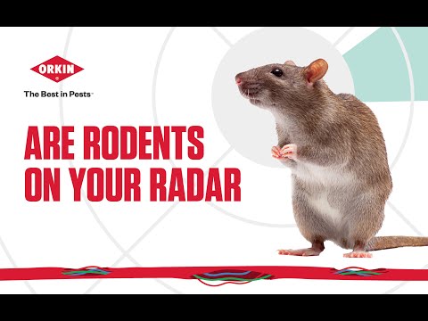 Orkin Commercial Services