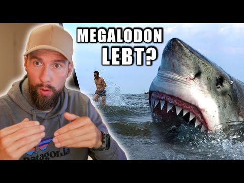 Der Megalodon existiert noch? - Meinung vom Meeresbiologen | Robert Marc Lehmann
