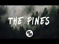 Roses & Revolutions - The Pines (Lyrics / Lyric Video) Evan Gartner Remix
