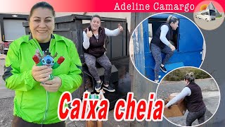 Mais um super achado nos dumpster das lojas, muitas coisas boas