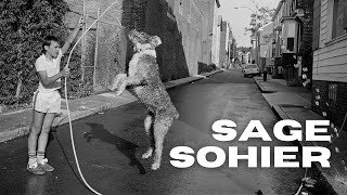 the complex photography of Sage Sohier | Passing Time