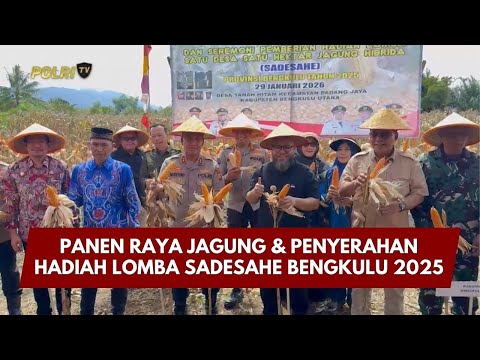 PRESISI UPDATE: PANEN RAYA JAGUNG &amp; PENYERAHAN HADIAH LOMBA SADESAHE BENGKULU2025 08/02/2026 (17.30)