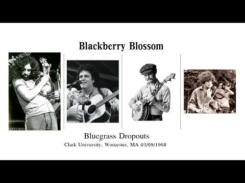 Blackberry Blossom - Bluegrass Dropouts