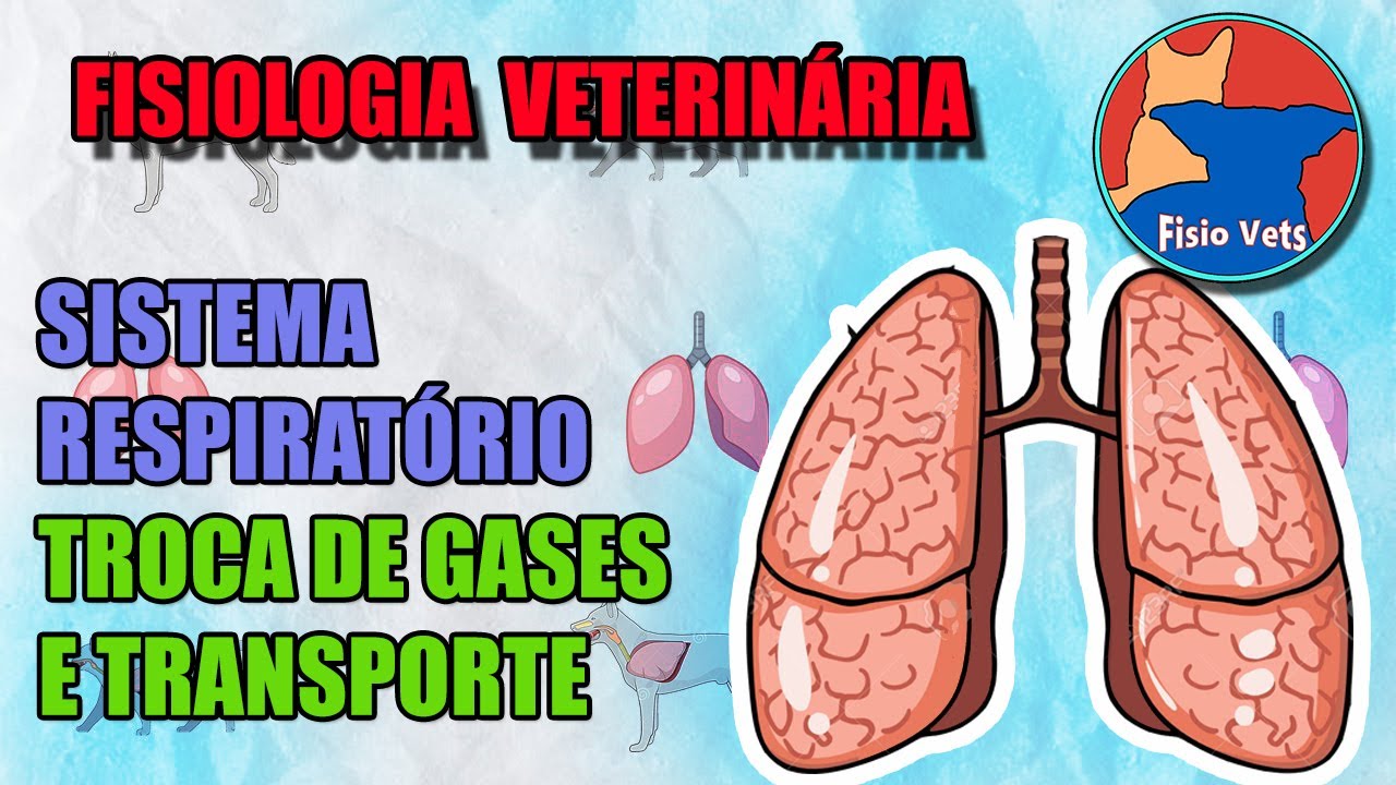 Sistema respiratório - Troca de gases e transporte pelo sangue - Fisiologia veterinária - Aula 2
